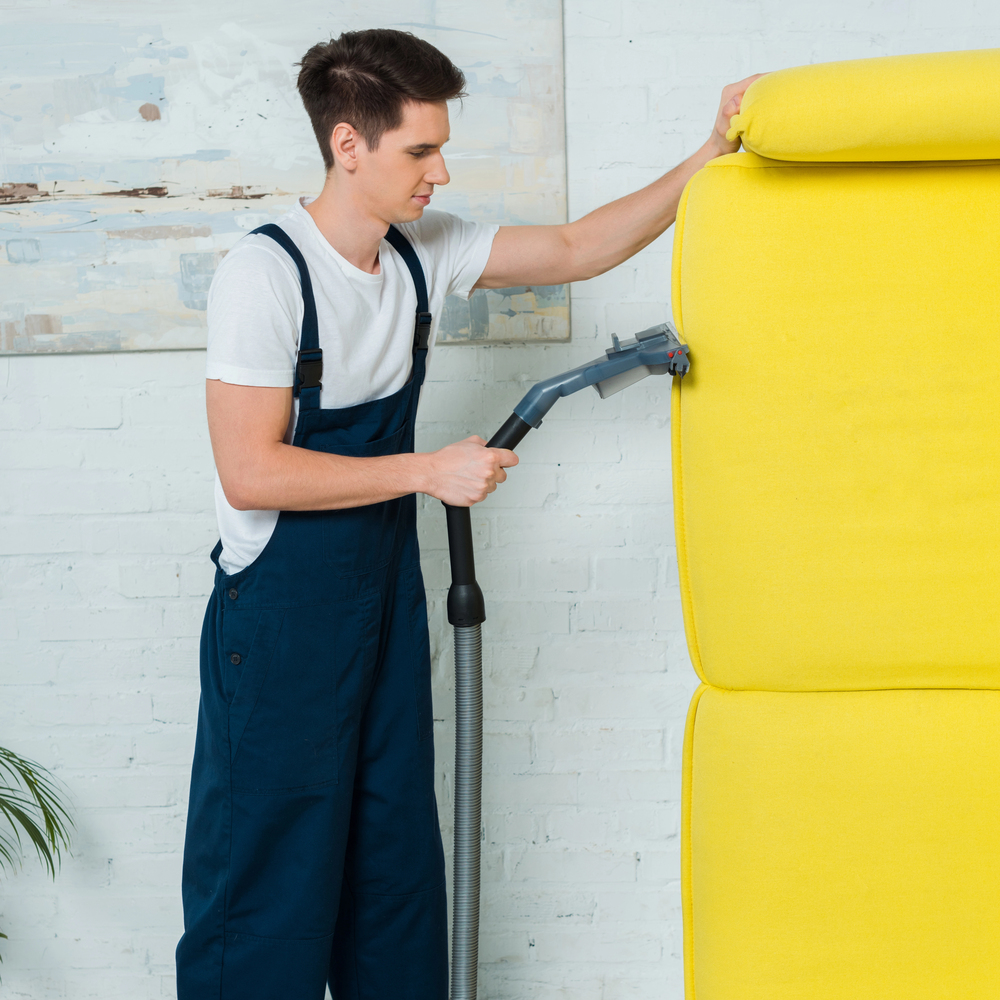 Professional Cleaning Services