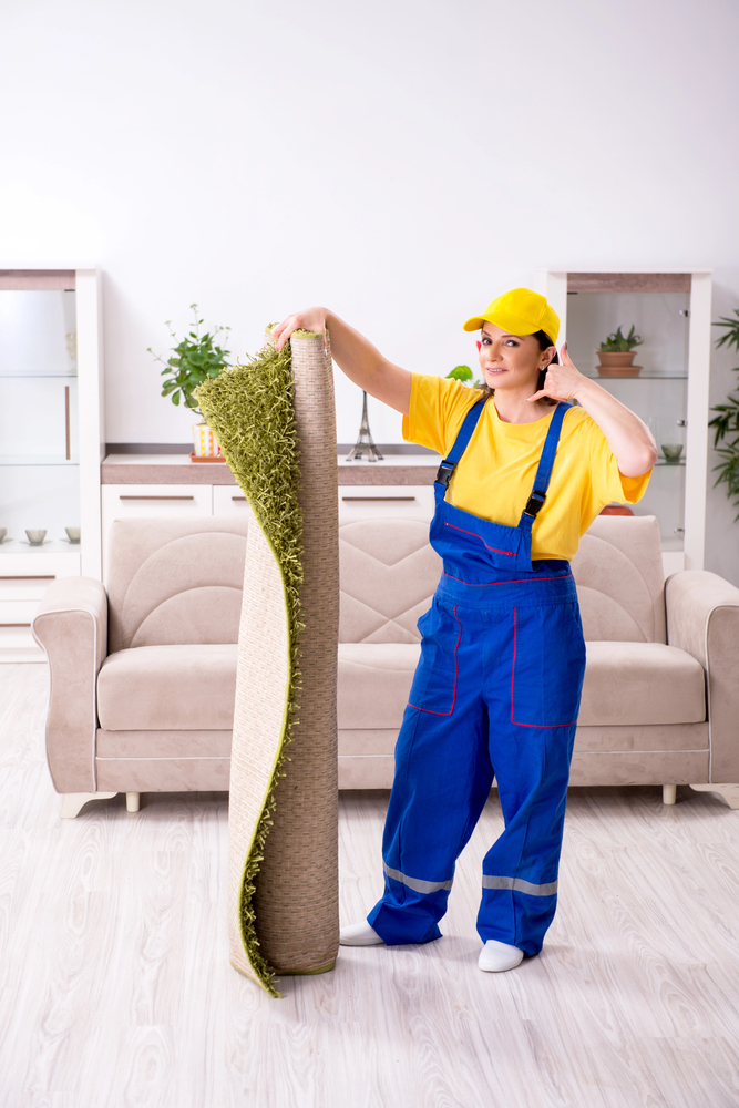 Carpet and Upholstery Cleaning